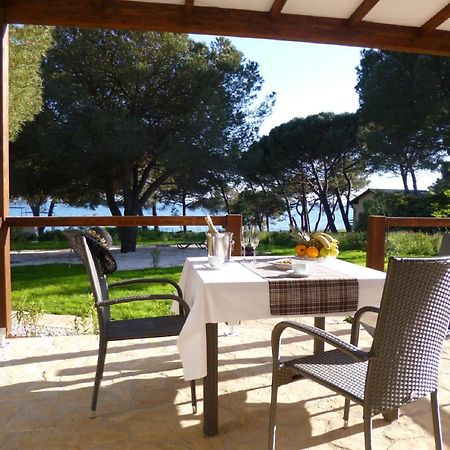 Apartments Erica Lux Novigrad Istria Oda fotoğraf